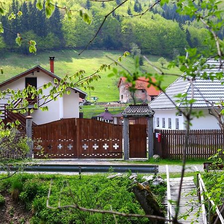 Gospodaria Lui Nea Ion Вама-Бузэулуй Экстерьер фото