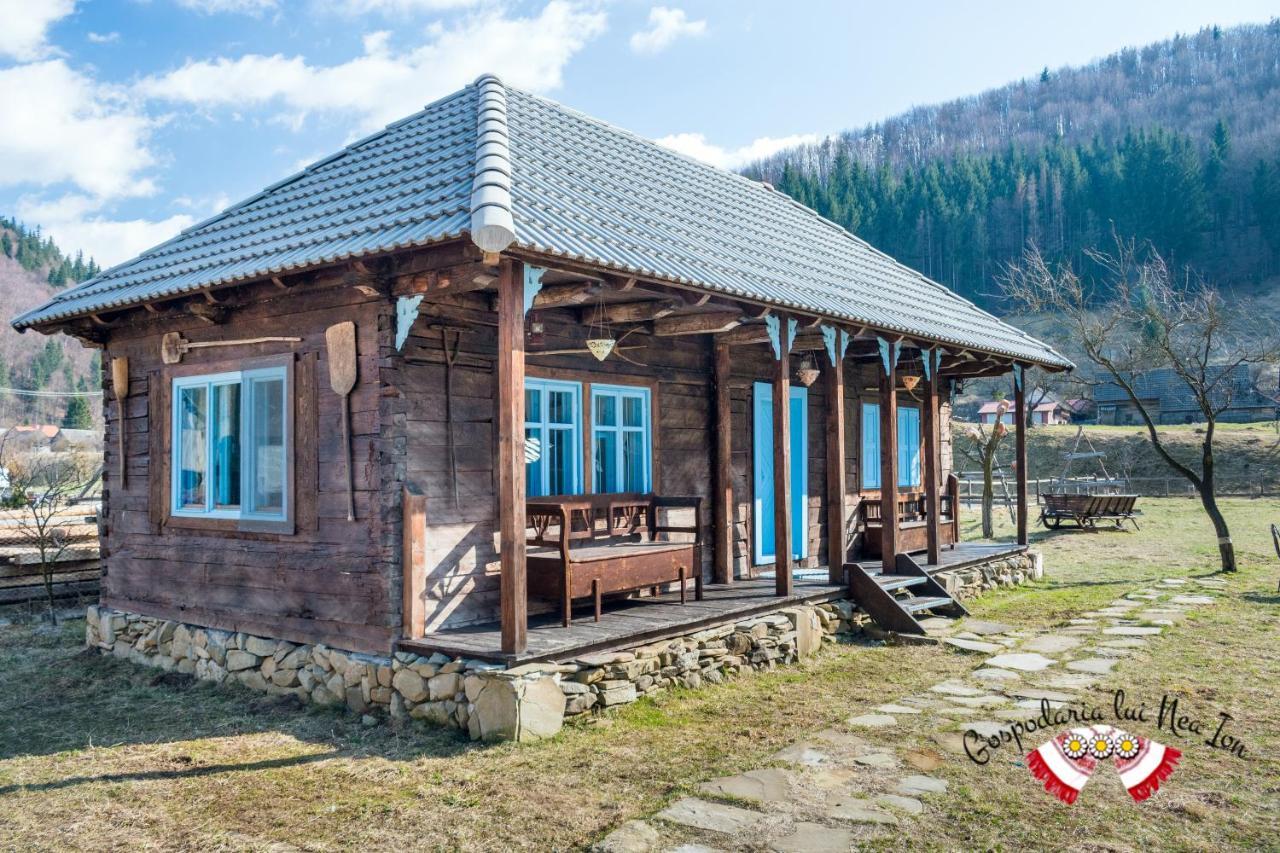 Gospodaria Lui Nea Ion Вама-Бузэулуй Экстерьер фото