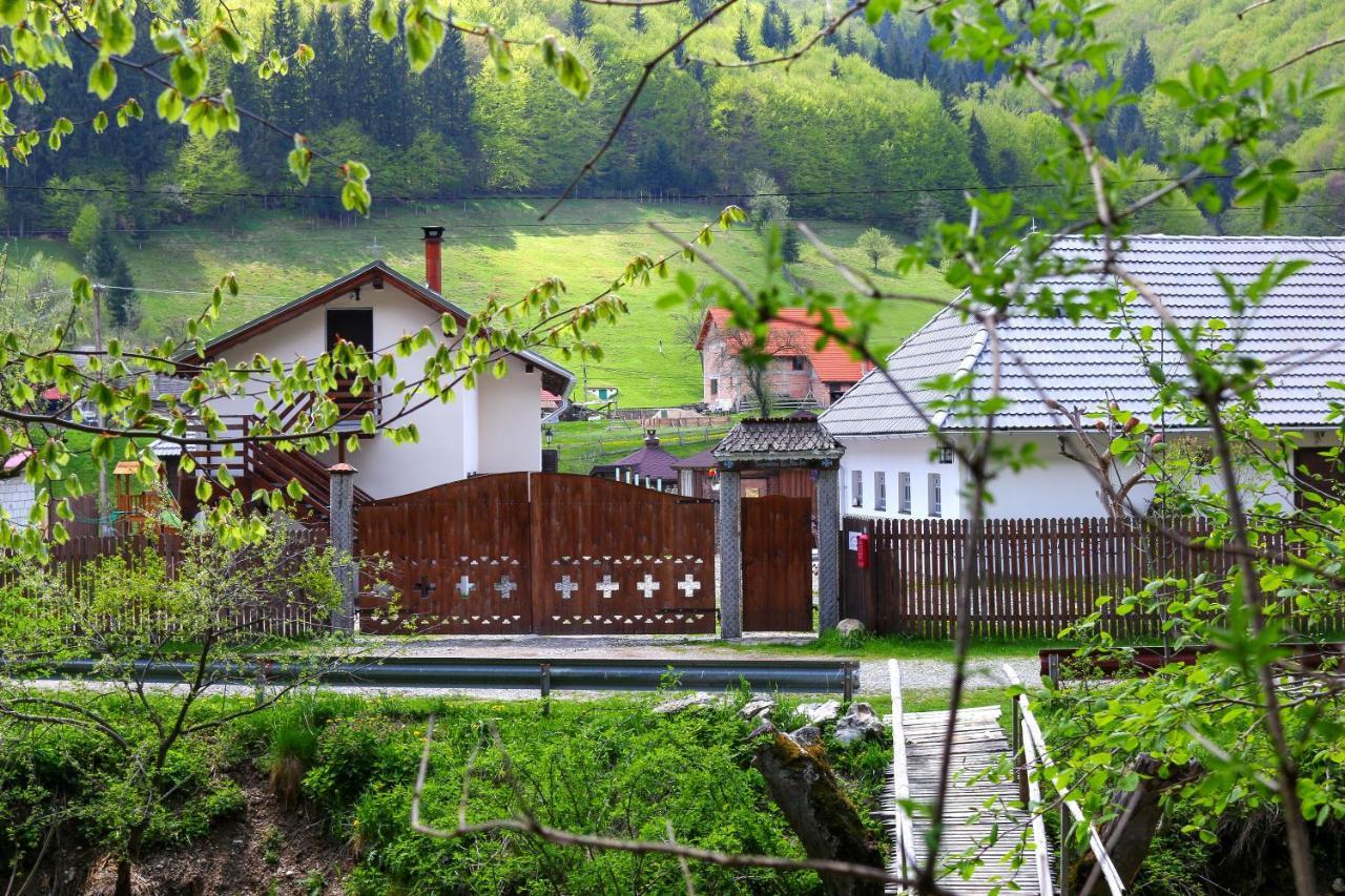 Gospodaria Lui Nea Ion Вама-Бузэулуй Экстерьер фото
