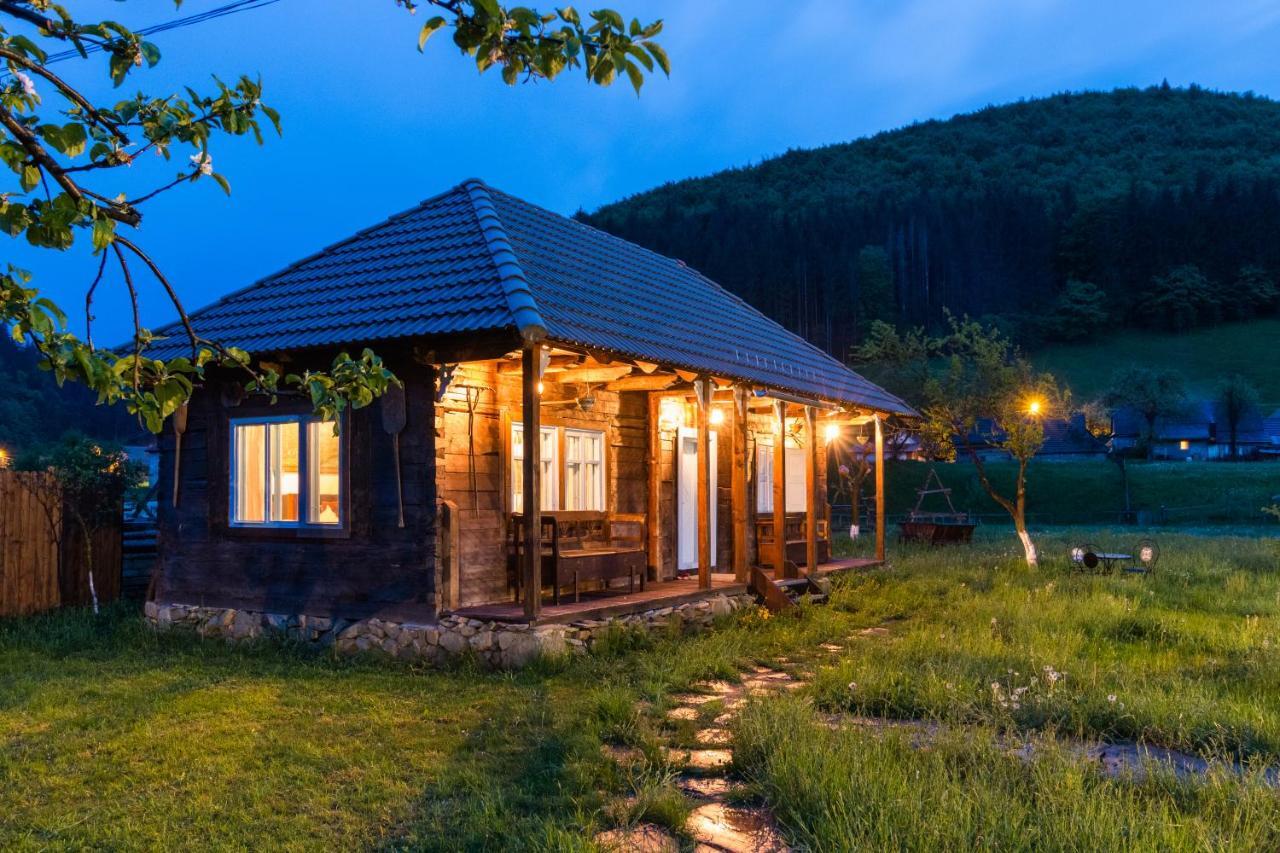 Gospodaria Lui Nea Ion Вама-Бузэулуй Экстерьер фото